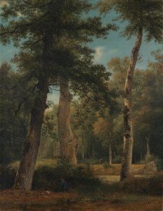 Ein Wald bei Fontainebleau von Georgius Jacobus Johannes van Os