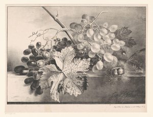 Stillleben mit Trauben und Kastanien von Georgius Jacobus Johannes van Os