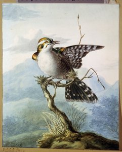 Ein kleiner Vogel