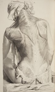 Anatomia Humani Corporis von Govard Bidloo, 1685 von Gerard de Lairesse