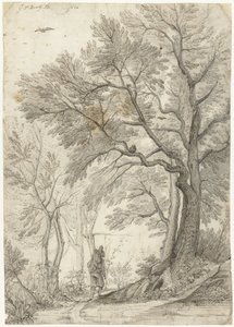 Wald der Villa Madama außerhalb Roms von Gerard ter Borch