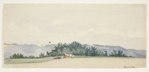 Hügelige Landschaft mit Kühen