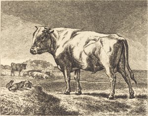 Kuh von German 19th Century