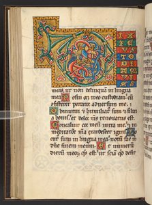 Große gerahmte Initialen in Gold und Farben mit Blatt- und manchmal zoomorphem und anthropomorphem Ornament (Pergament) von German School