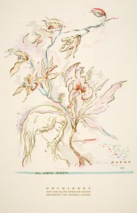 Werbung Orchideen aus dem Hause Hermann Roth, aus Styl, veröffentlicht 1922