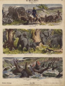 Afrika von German School