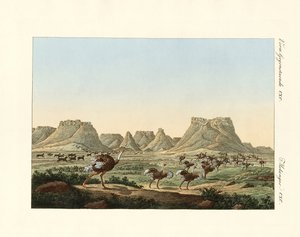Gebiet in Südafrika am Kap der Guten Hoffnung
