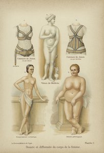 Schönheit und Missgestalt im weiblichen Körper von German School