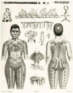 Diagramm von polynesischem Schmuck, Ornamenten und Tätowierungen, 1888