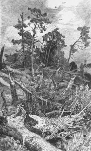 Auswirkungen eines Hurrikans von German School