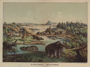 Europäische Tiere der Tertiärzeit