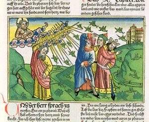Exodus 10:1-20 Die sieben Plagen Ägyptens: die Plage der Heuschrecken, aus der Nürnberger Bibel (Biblia Sacra Germanaica)