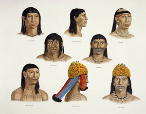 Köpfe südamerikanischer Indianer, aus Reisen in Brasilien