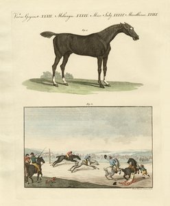 Pferderennen in England von German School