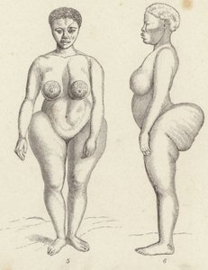 Hottentotten-Venus (Stich) von German School
