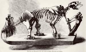 Megatherium-Skelett im British Museum von German School
