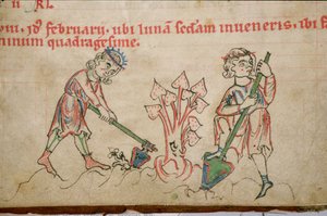 Ms 54 f.37 Februar: Hacken, Zisterzienser-Psalter