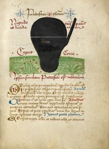 Aus den Alchemistischen Abhandlungen, spätes 15. Jahrhundert