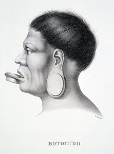 Einheimischer Mann des Botocudo-Stammes mit Gesichtsschmuck, aus Atlas einer Reise in Brasilien von Dr. von Spix und Dr. von Martius