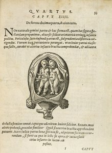 Nicht-identische Zwillinge im Mutterleib, Illustration aus Kapitel 14, Buch 4 von Über die Empfängnis und das Wachstum des Menschen von Rueff, 1587 von German School