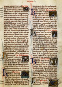 Seite aus De Natura Rerum über Vögel, von Albertus Magnus (ca. 1200-1280)