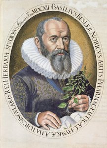Porträt von Basil Besler (1561-1629) im Jahr 1612, aus dem Hortus Eystettensis, veröffentlicht 1613