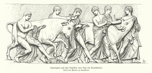 Opfertiere in der antiken griechischen Prozession der Panathenaia von German School