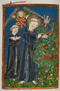 St. Franziskus predigt den Vögeln