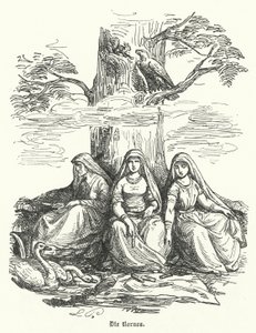 Die Nornen, weibliche Wesen der nordischen Mythologie (Gravur) von German School