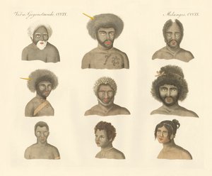 Die Papua