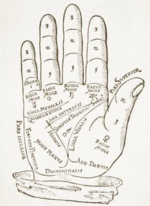 Die rechte Hand, Kopie einer Illustration aus Cerasariensis von Tricassus, Nürnberg 1560, verwendet in einer Geschichte der Magie, veröffentlicht Ende des 19. Jahrhunderts