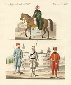 Der türkische Sultan Mahmud und seine neuen Truppen