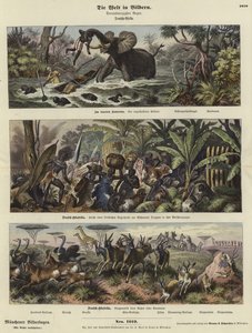 Die Welt in Bildern: Deutsch-Afrika