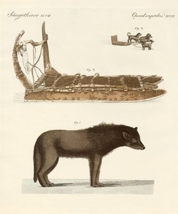 Der Hund der Baffin-Bucht von German School