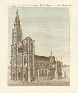 Das Münster in Straßburg