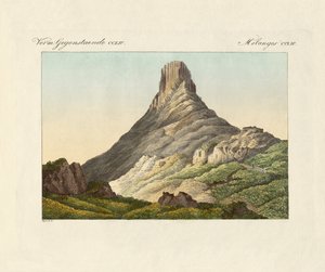 Der Skuir auf der Eierinsel von German School