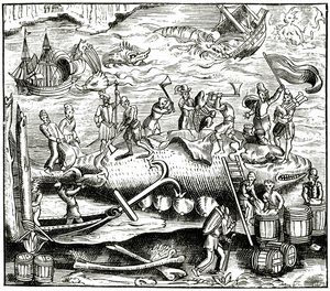 Walfang, nach einem Holzschnitt in Cosmographie Universelle von Munster, veröffentlicht 1552