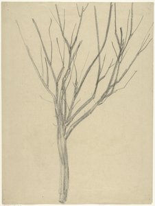 Kale Baum von Gerrit Willem Dijsselhof