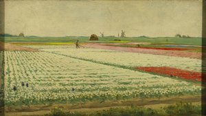 Tulpenfelder von Gerrit Willem Dijsselhof