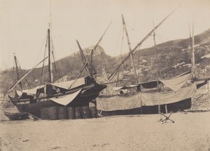 Salerne, 1855 von Giacomo Caneva