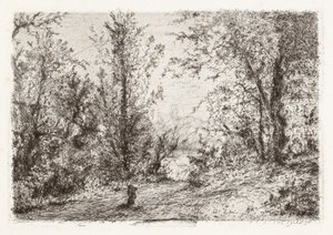 Wald am Lago Maggiore [Foresta sul lago Maggiore] von Giberto Borromeo