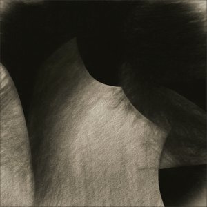 Fließende Sepia-Kurven