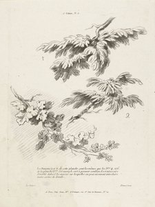 Studie von drei Zweigen mit Blättern von Gilles Demarteau