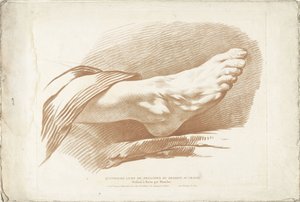 Studie des rechten Fußes von Gilles Demarteau