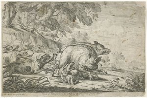 Wildschweinjagd
Jachten (Serientitel)