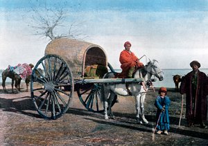 Bukhara-Wagen, Usbekistan, ca. 1890