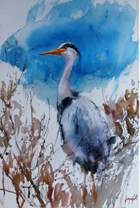 Blauer Reiher Aquarell von Giorgio Gosti