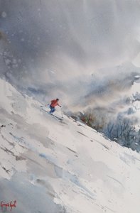 Abenteuer beim Abfahrtslauf von Giorgio Gosti