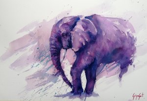 Majestätischer Lila Elefant