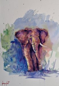 Majestätischer Aquarell-Elefant